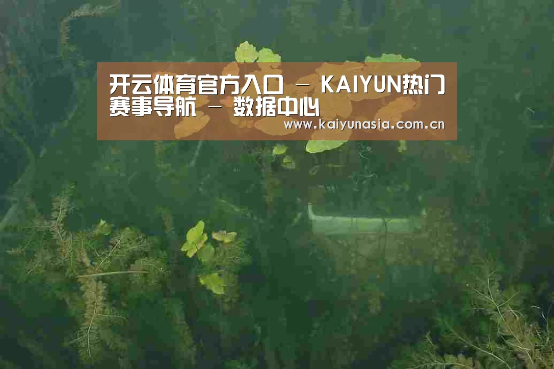 案例展示三(图1)