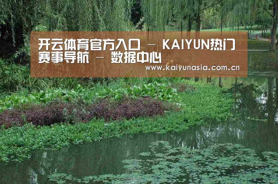案例展示一(图1)