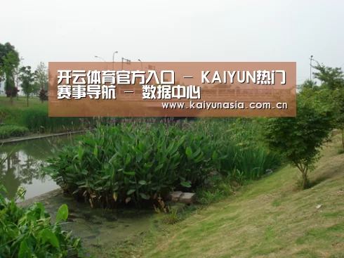 案例展示四(图1)