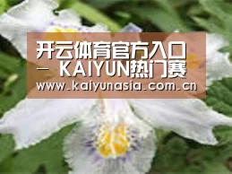 产品名称二