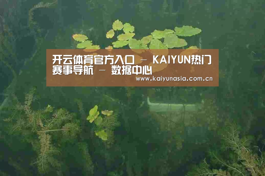 案例展示三