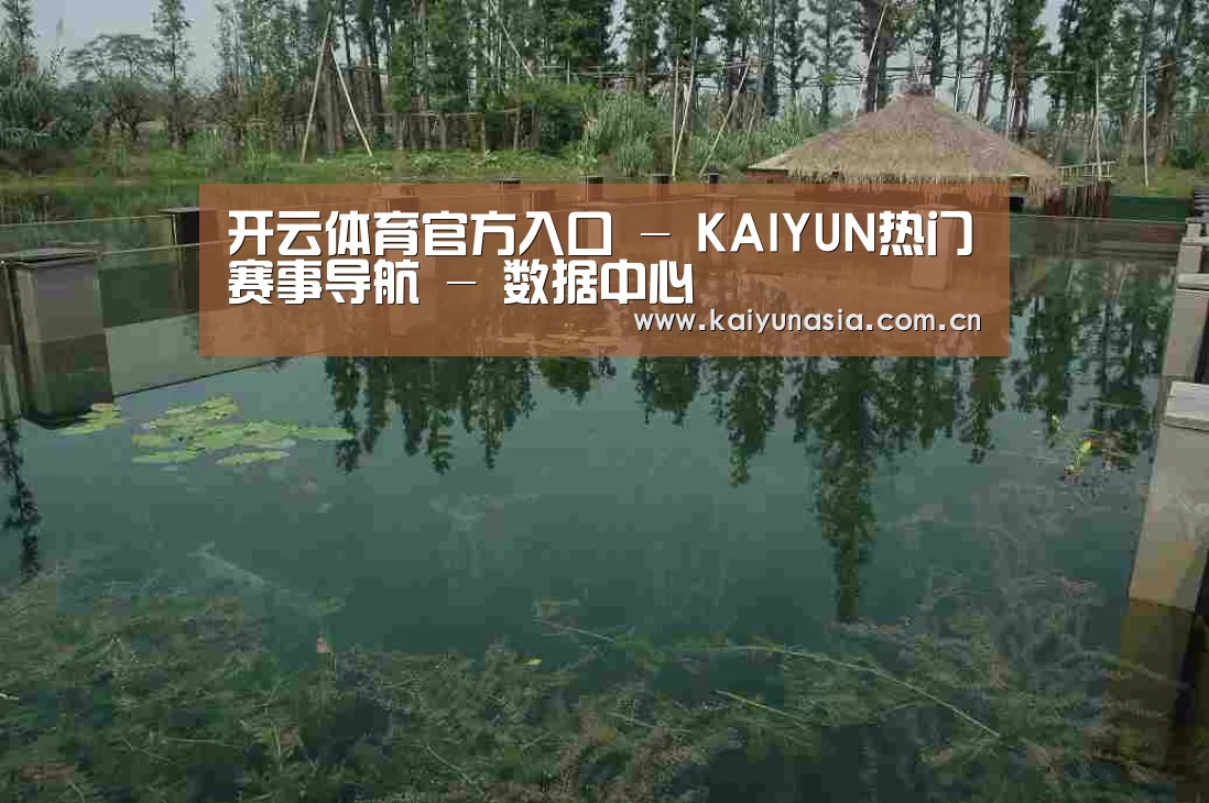 案例展示二