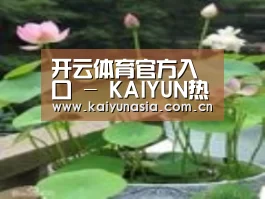 产品名称一
