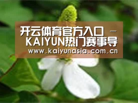 产品名称三