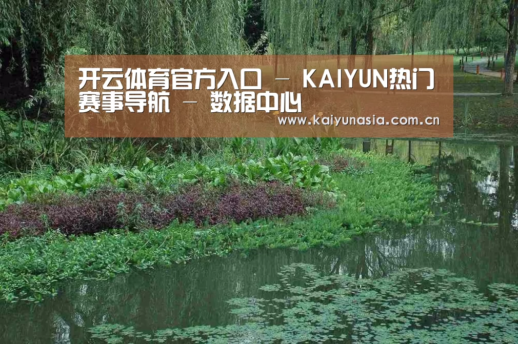 案例展示一