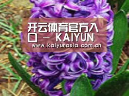 产品名称八