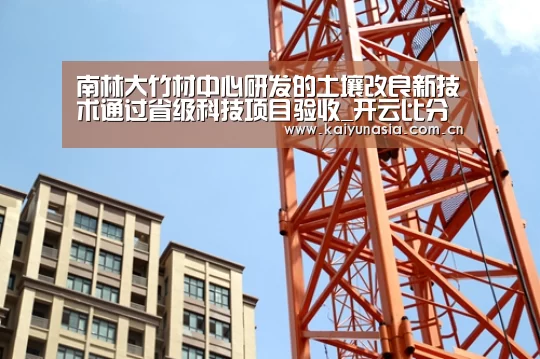 开云体育赛事
