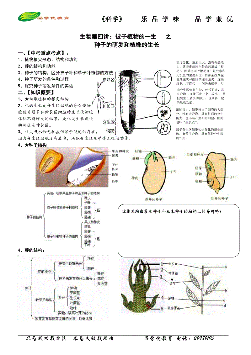 开云热门赛事