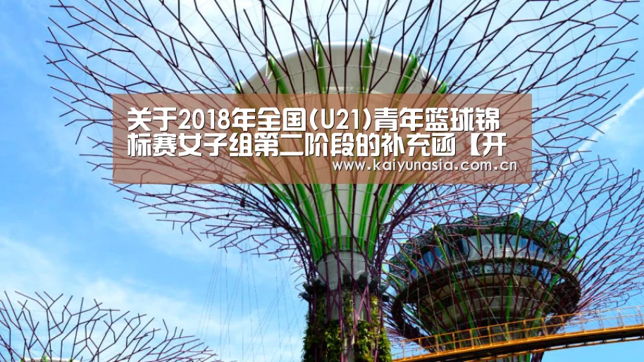 开云比分