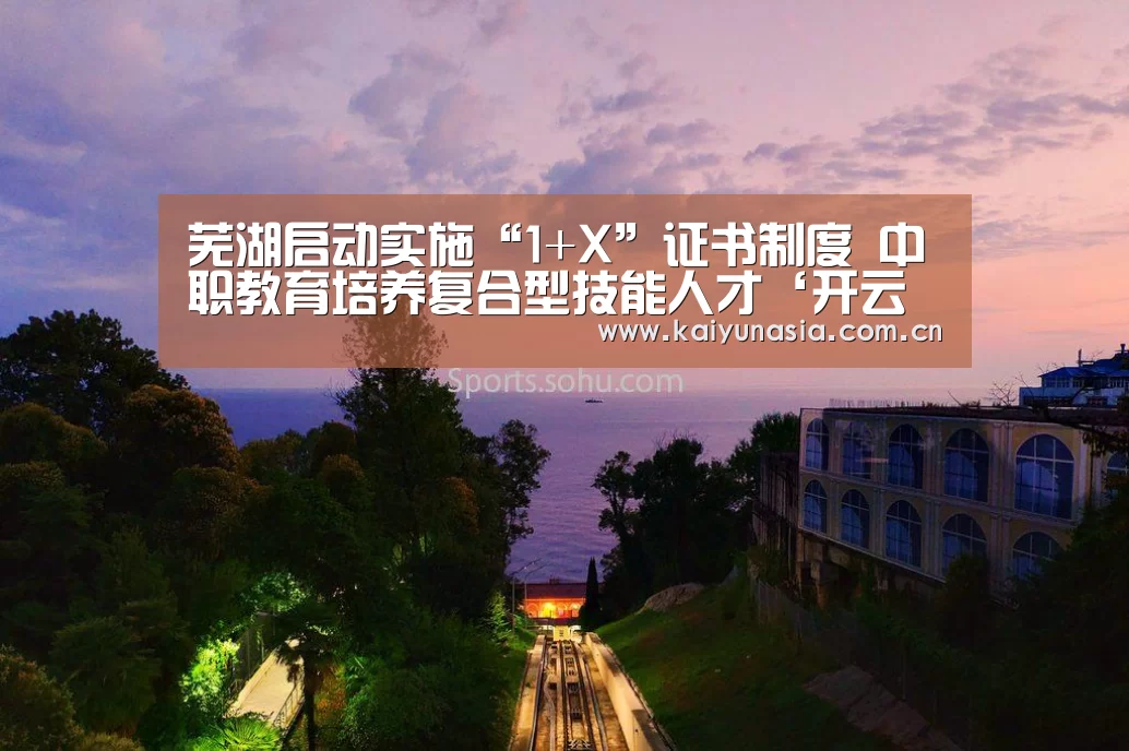 芜湖启动实施“1+X”证书制度 中职教育培养复合型技能人才‘开云热门赛事’(图2) 开云热门赛事