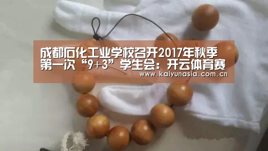成都石化工业学校召开2017年秋季第一次“9+3”学生会:开云体育赛事