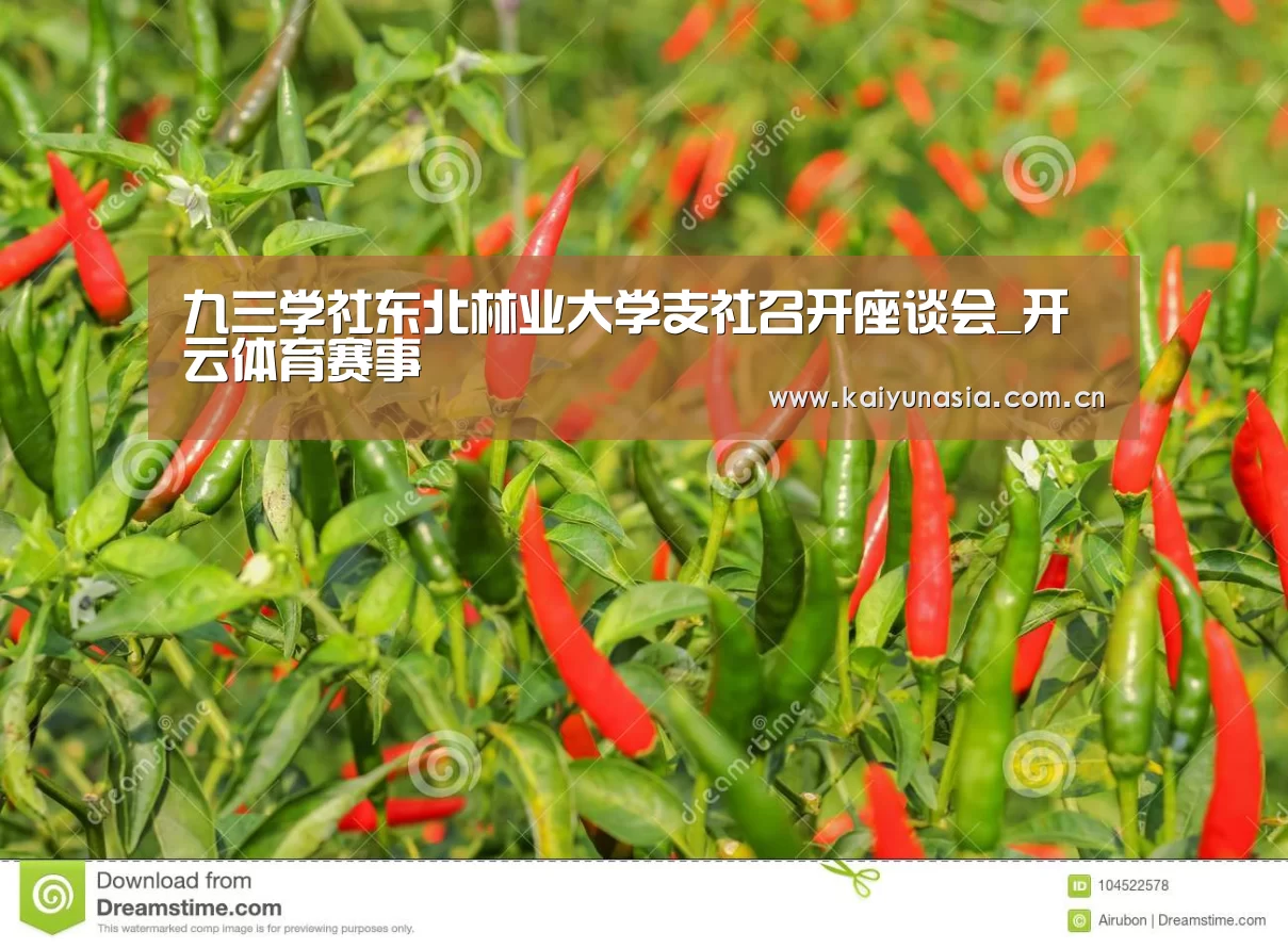 开云比分