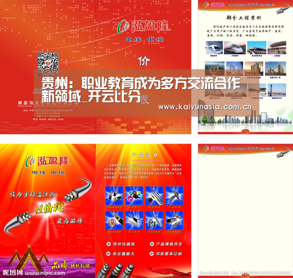贵州:职业教育成为多方交流合作新领域_开云比分(图2) KAIYUN首页