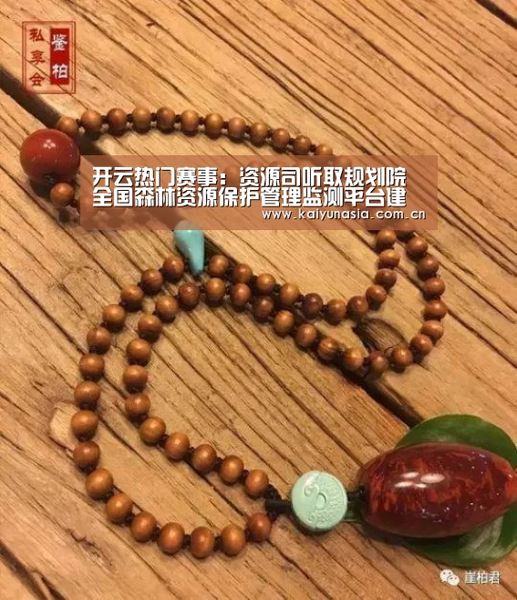 开云热门赛事:资源司听取规划院全国森林资源保护管理监测平台建设工作的汇报(图2) 开云体育赛事