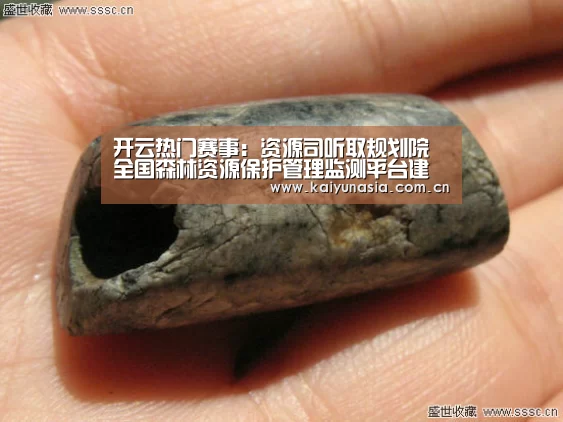开云热门赛事:资源司听取规划院全国森林资源保护管理监测平台建设工作的汇报(图1) KAIYUN首页