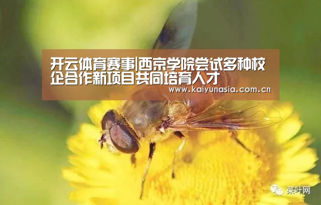 开云体育赛事|西京学院尝试多种校企合作新项目共同培育人才(图1) 开云体育赛事