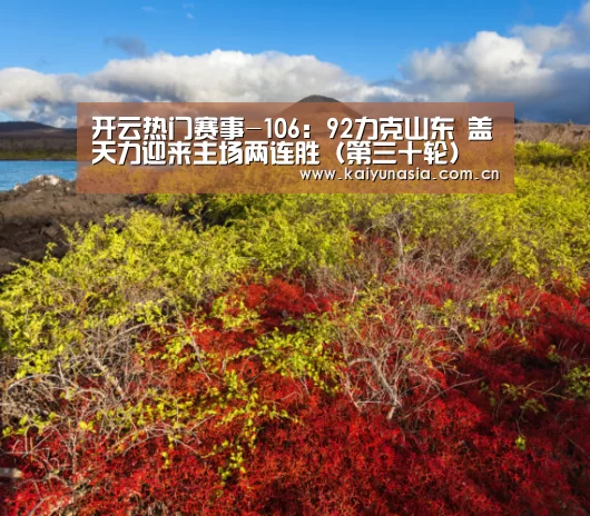 开云热门赛事-106:92力克山东 盖天力迎来主场两连胜(第三十轮)(图1) 开云热门赛事