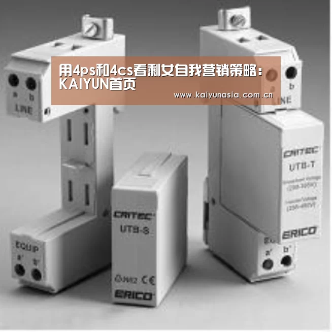 用4ps和4cs看剩女自我营销策略:KAIYUN首页(图2) KAIYUN首页