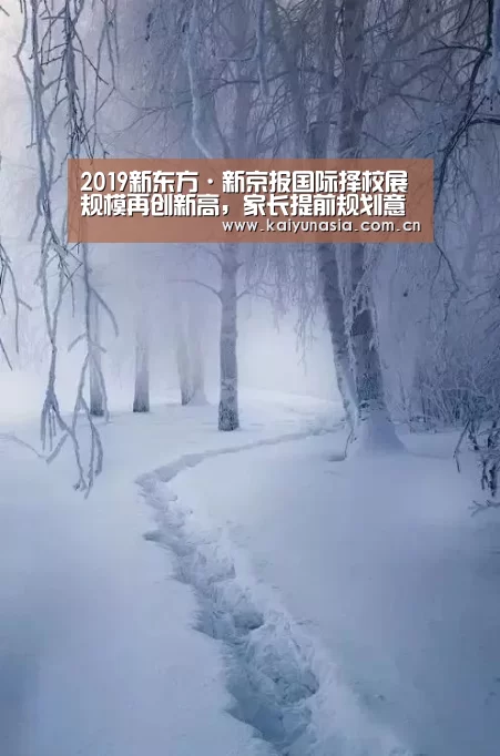 2019新东方·新京报国际择校展规模再创新高,家长提前规划意识愈发突显-开云比分(图3) 开云体育赛事