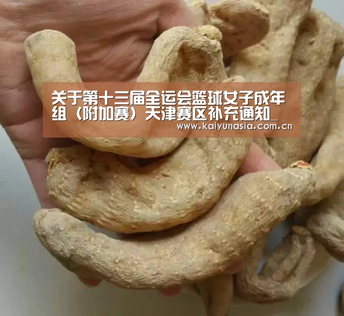开云体育赛事