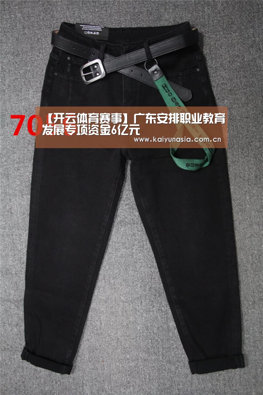 【开云体育赛事】广东安排职业教育发展专项资金6亿元(图3) 开云热门赛事