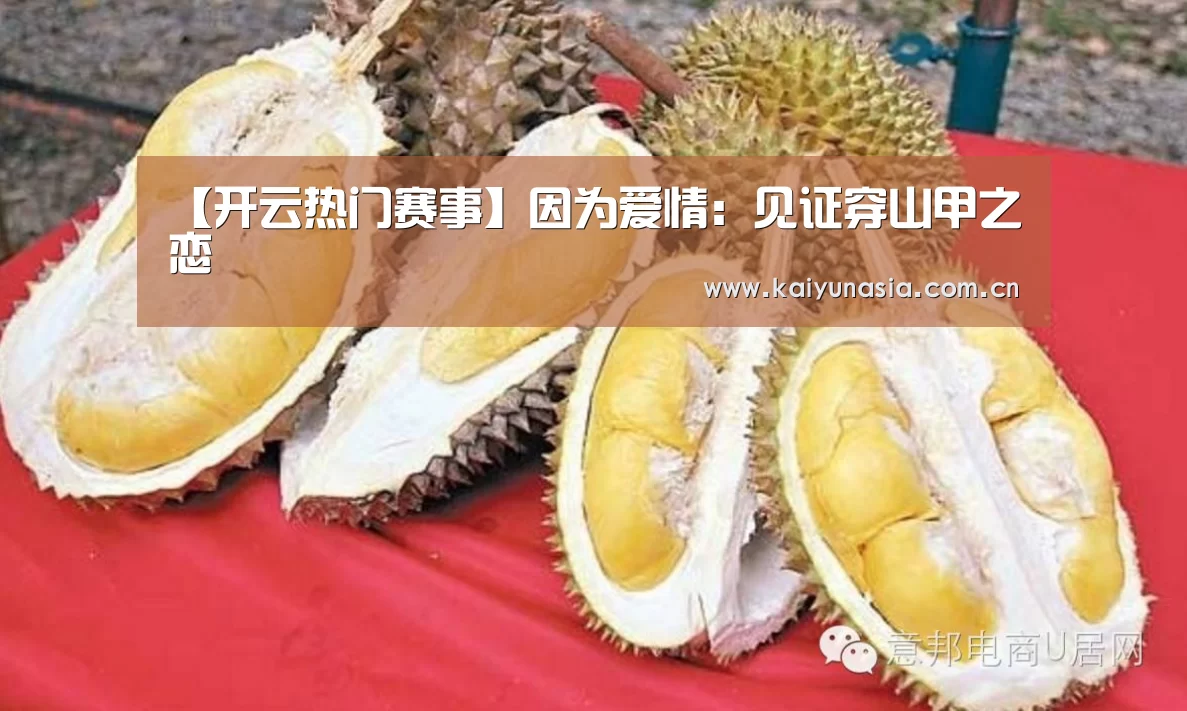 【开云热门赛事】因为爱情:见证穿山甲之恋(图2) 开云体育赛事