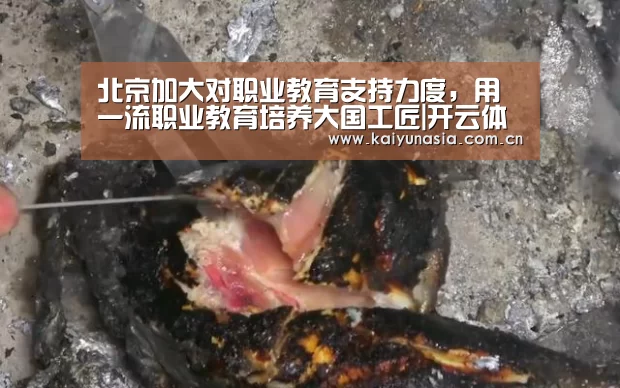 北京加大对职业教育支持力度,用一流职业教育培养大国工匠|开云体育赛事(图2) 开云比分